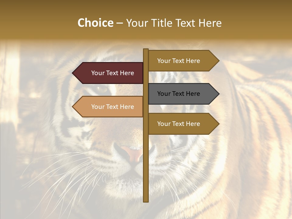 Zoo Feline Bengal PowerPoint Template