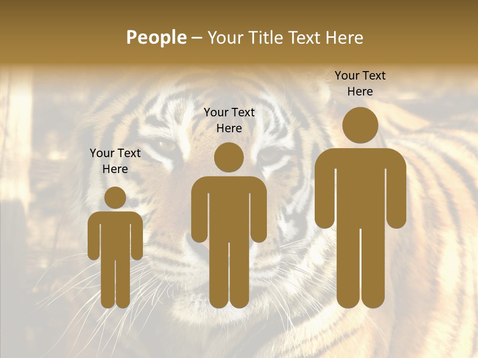 Zoo Feline Bengal PowerPoint Template