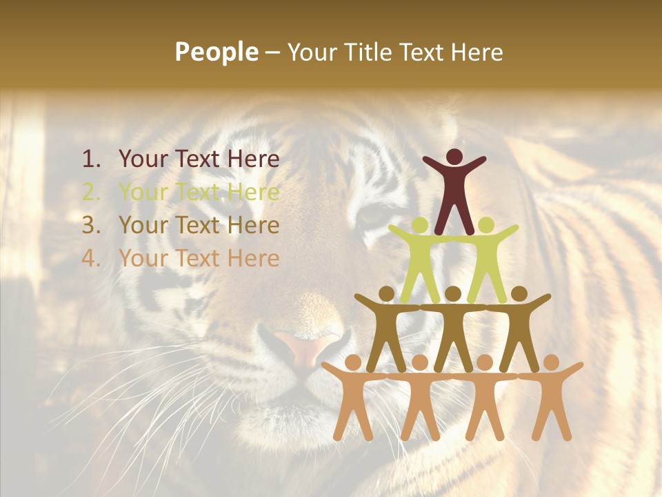 Zoo Feline Bengal PowerPoint Template