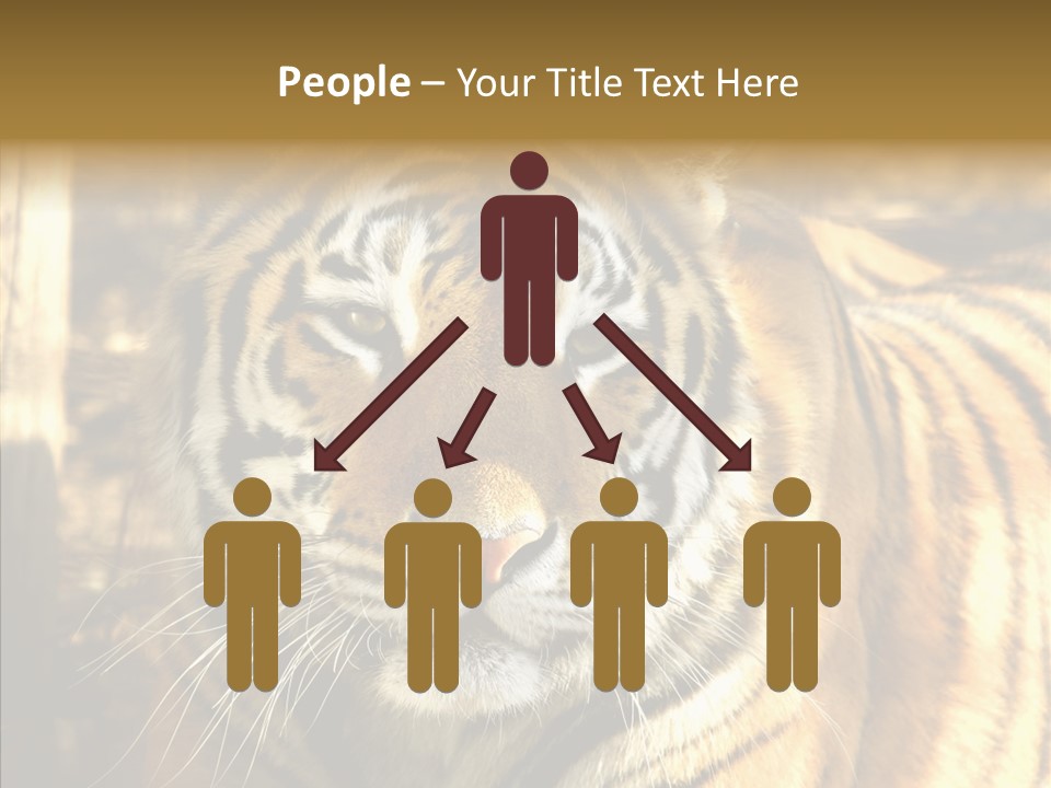 Zoo Feline Bengal PowerPoint Template