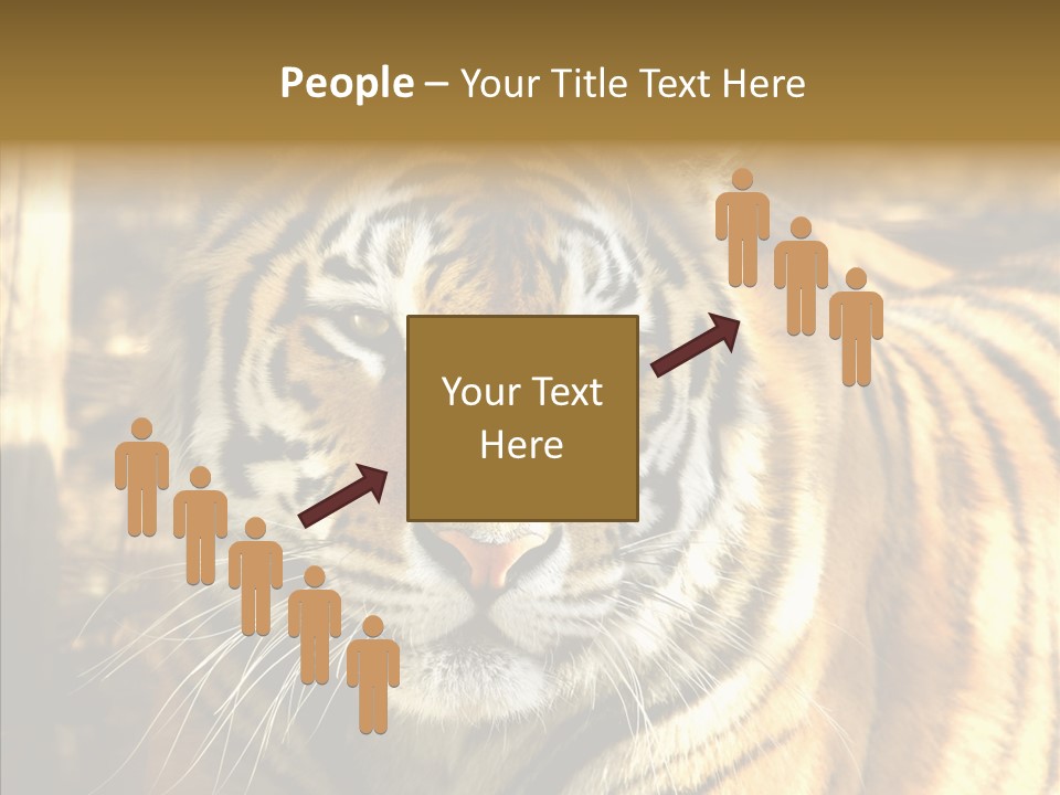 Zoo Feline Bengal PowerPoint Template