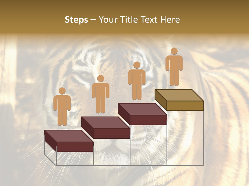 Zoo Feline Bengal PowerPoint Template