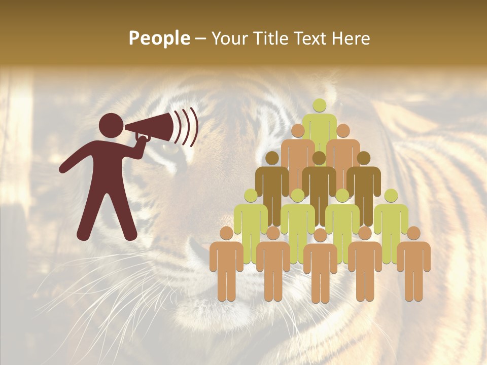 Zoo Feline Bengal PowerPoint Template