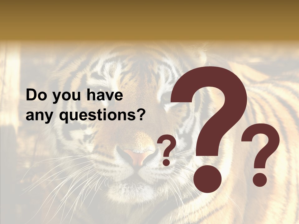 Zoo Feline Bengal PowerPoint Template