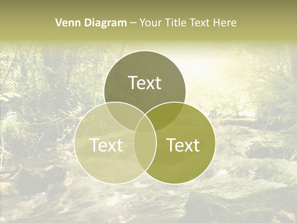 Sunlight Brook Bright PowerPoint Template