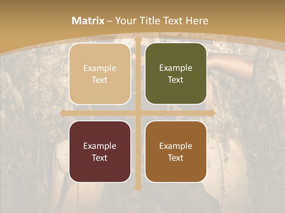 Security Sport Airgun PowerPoint Template