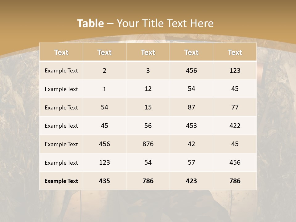 Security Sport Airgun PowerPoint Template