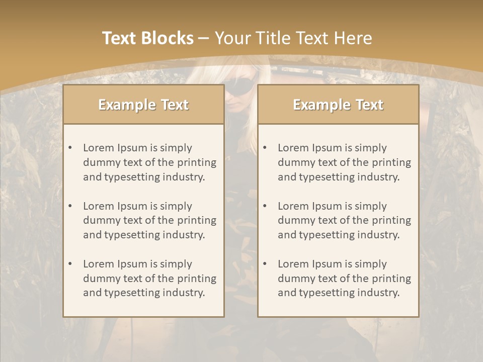 Security Sport Airgun PowerPoint Template