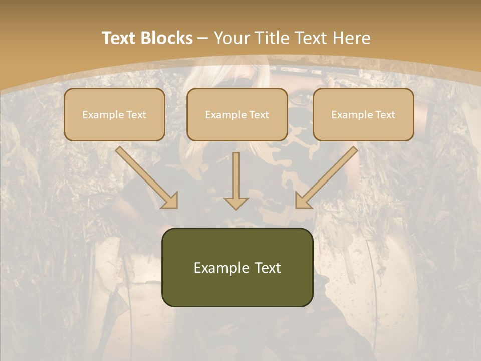 Security Sport Airgun PowerPoint Template