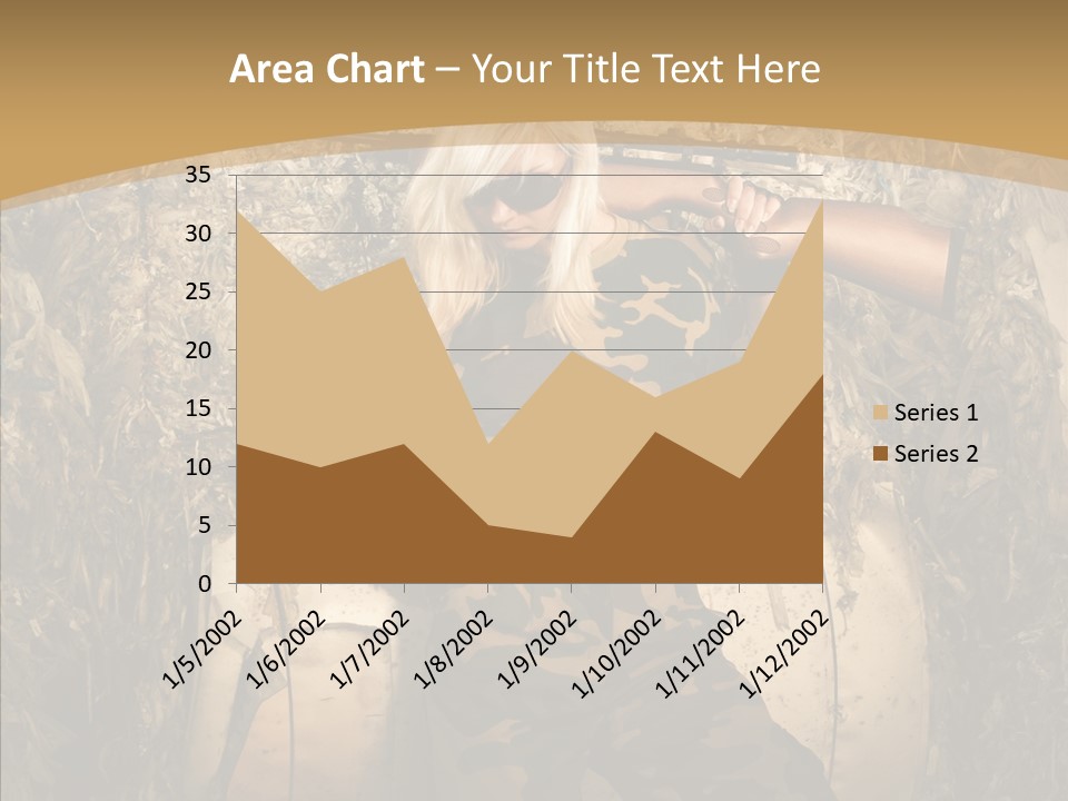 Security Sport Airgun PowerPoint Template