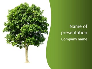 Individual Stem Environment PowerPoint Template