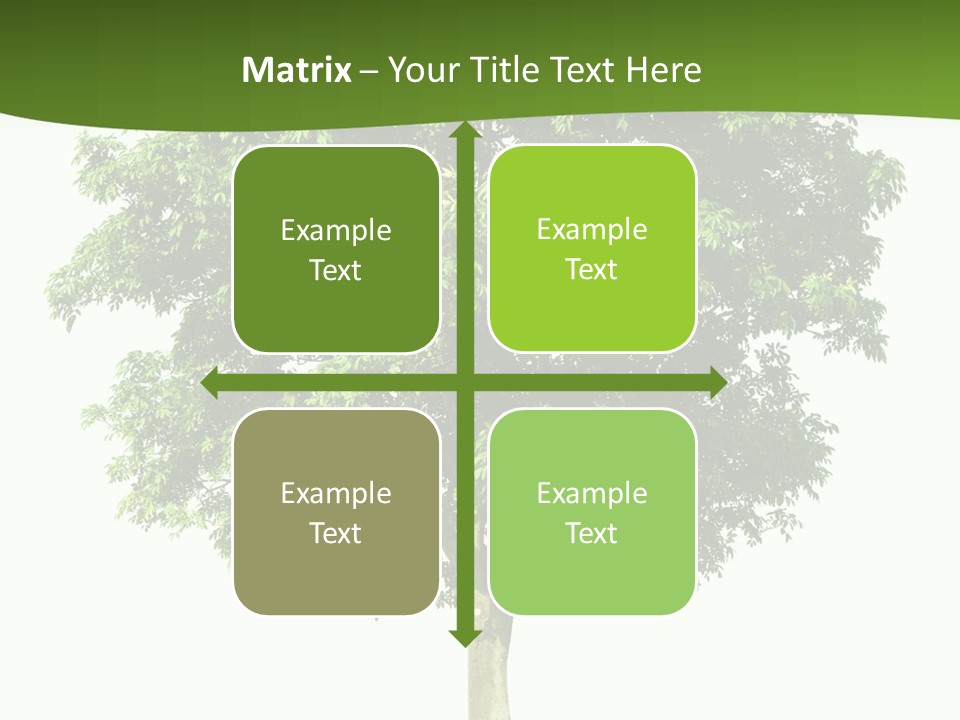 Individual Stem Environment PowerPoint Template