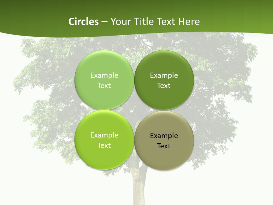 Individual Stem Environment PowerPoint Template
