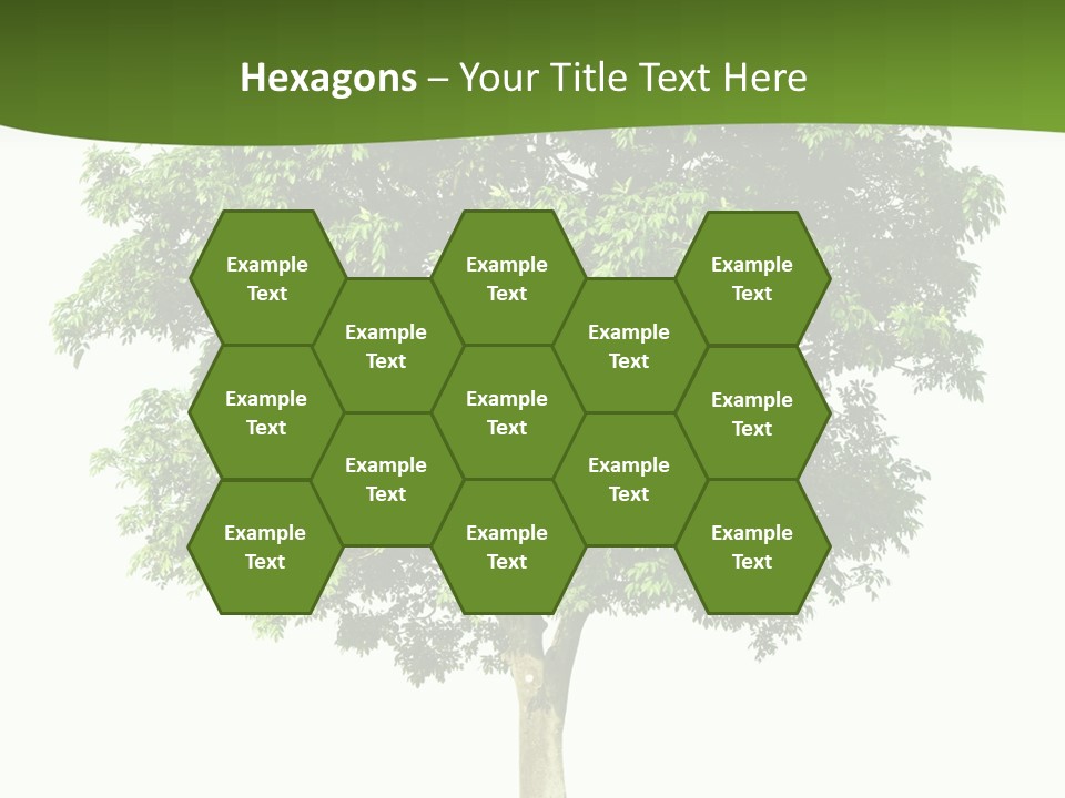 Individual Stem Environment PowerPoint Template