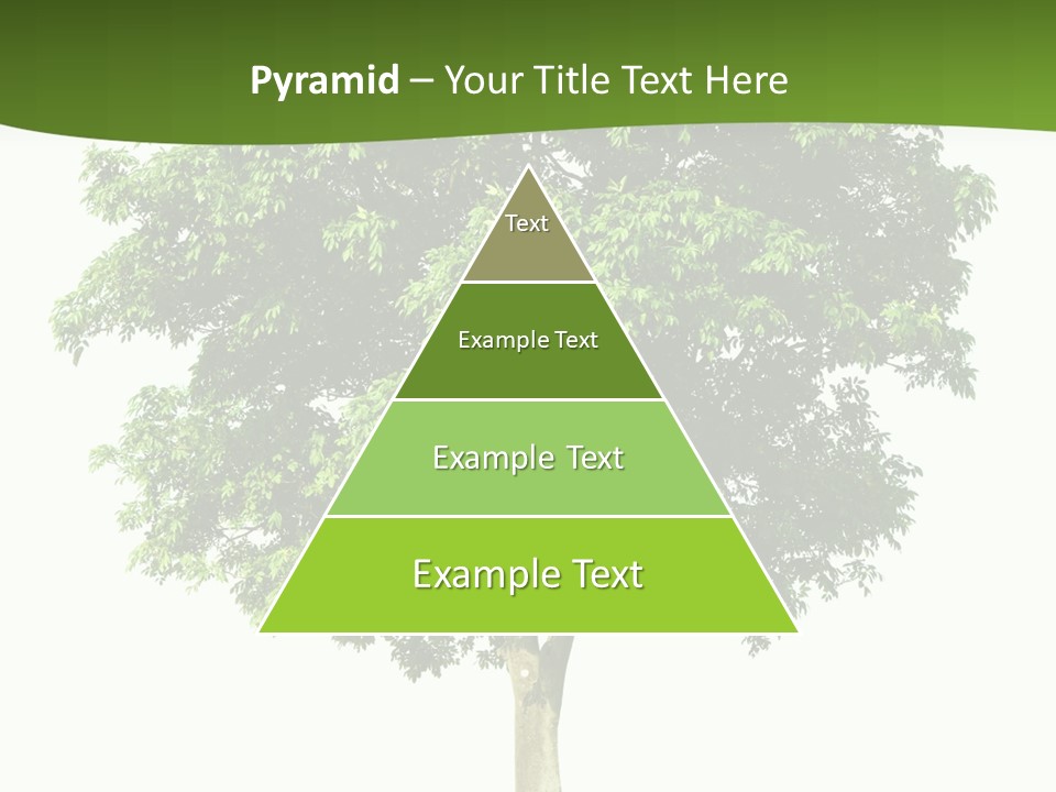 Individual Stem Environment PowerPoint Template