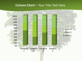 Individual Stem Environment PowerPoint Template