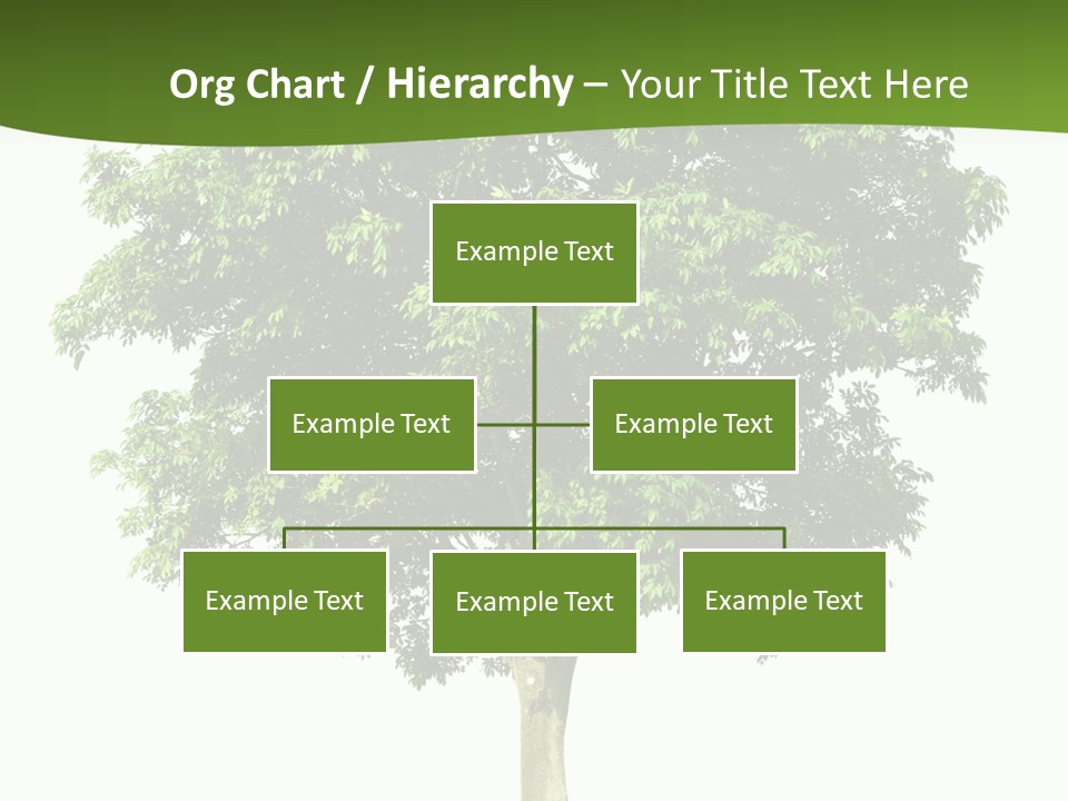 Individual Stem Environment PowerPoint Template