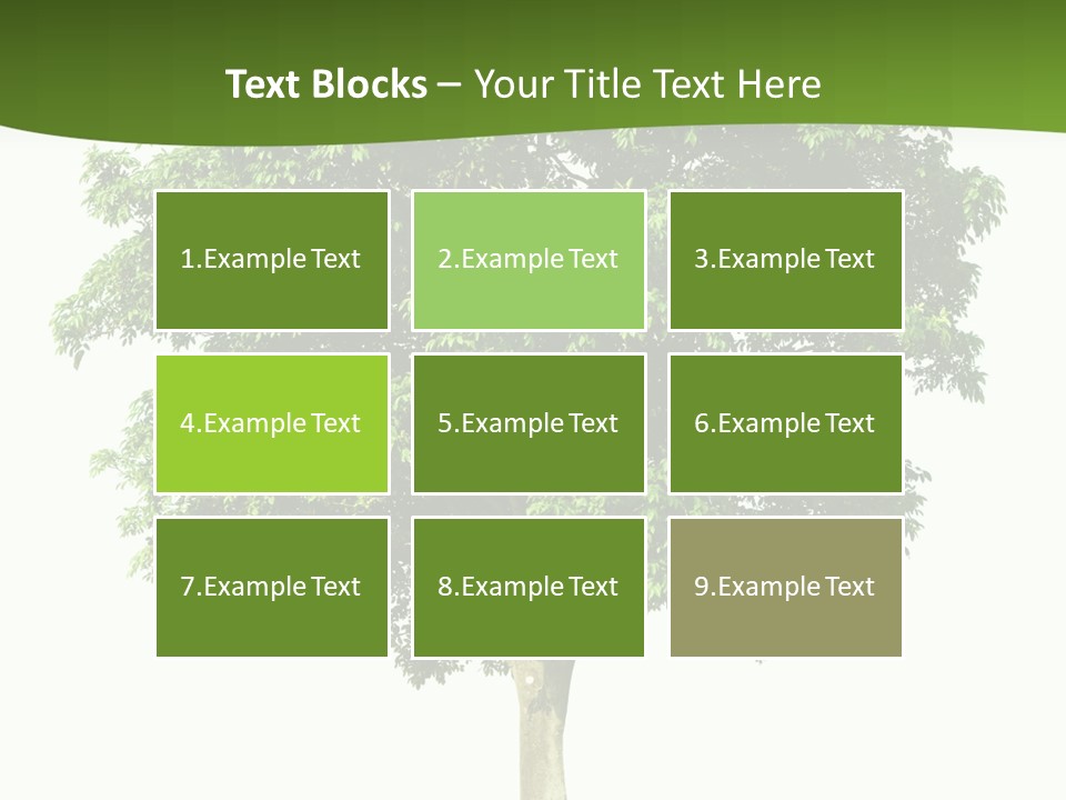 Individual Stem Environment PowerPoint Template