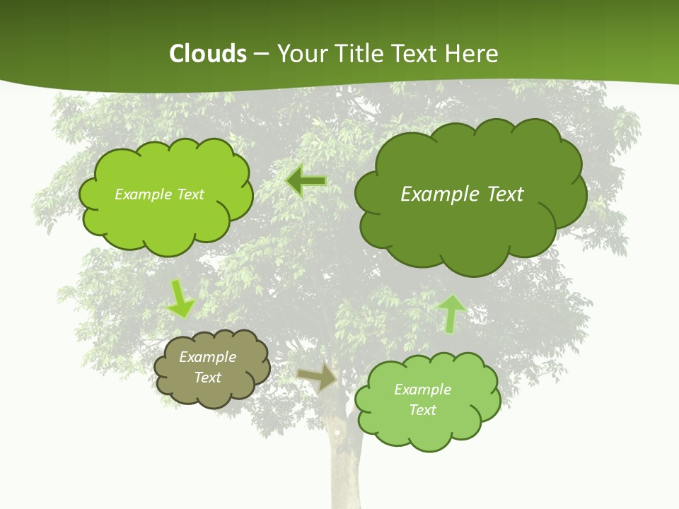 Individual Stem Environment PowerPoint Template