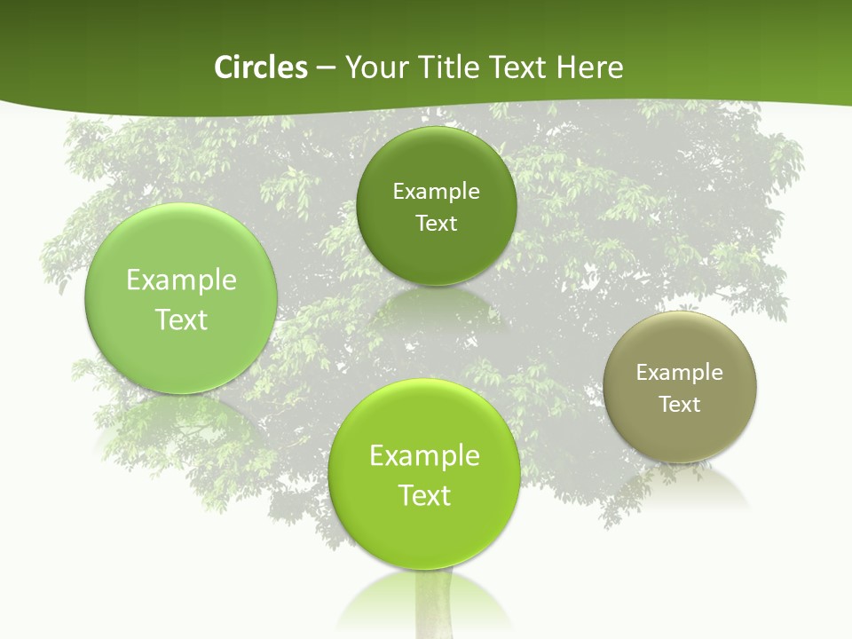 Individual Stem Environment PowerPoint Template