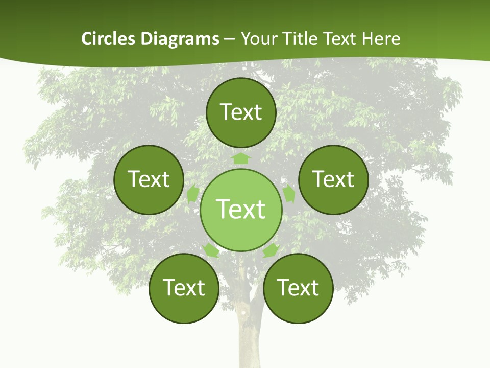 Individual Stem Environment PowerPoint Template