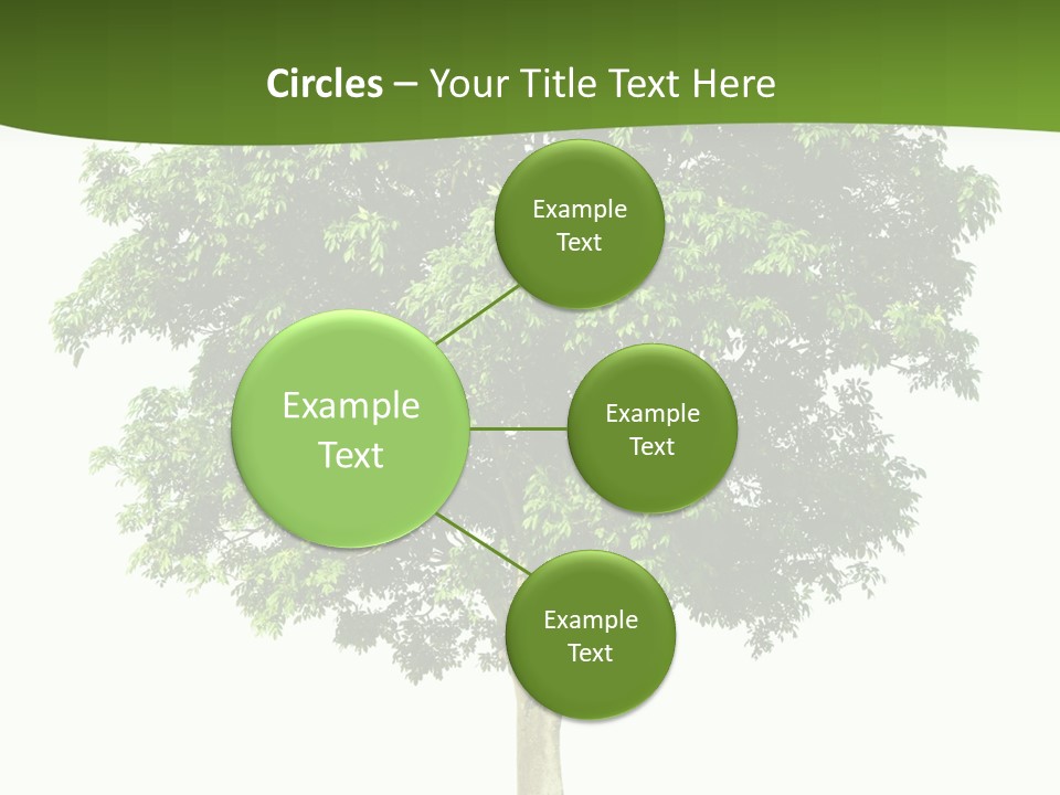 Individual Stem Environment PowerPoint Template