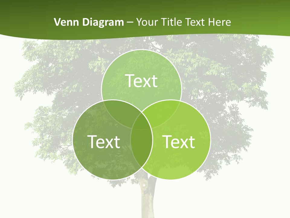 Individual Stem Environment PowerPoint Template