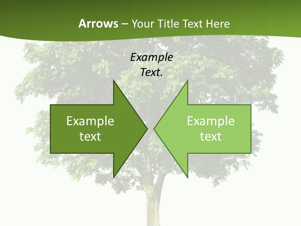 Individual Stem Environment PowerPoint Template