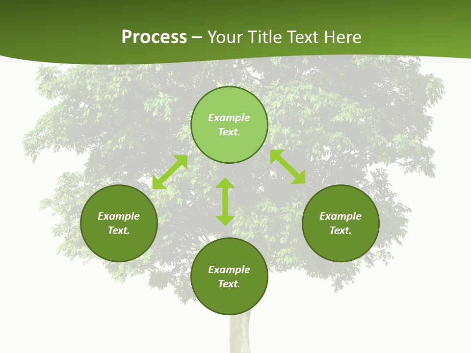 Individual Stem Environment PowerPoint Template