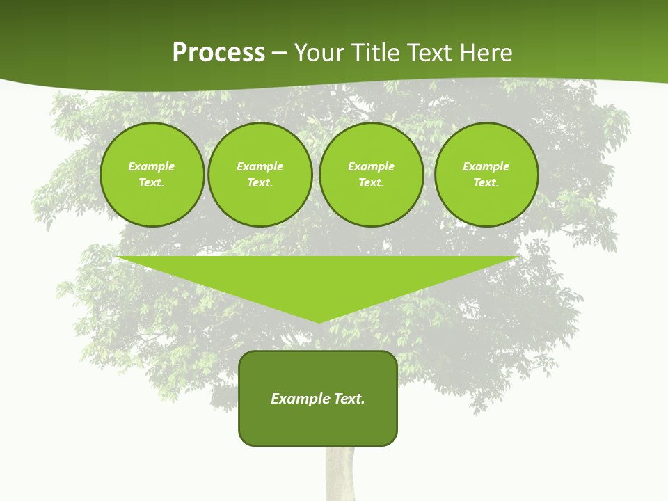 Individual Stem Environment PowerPoint Template