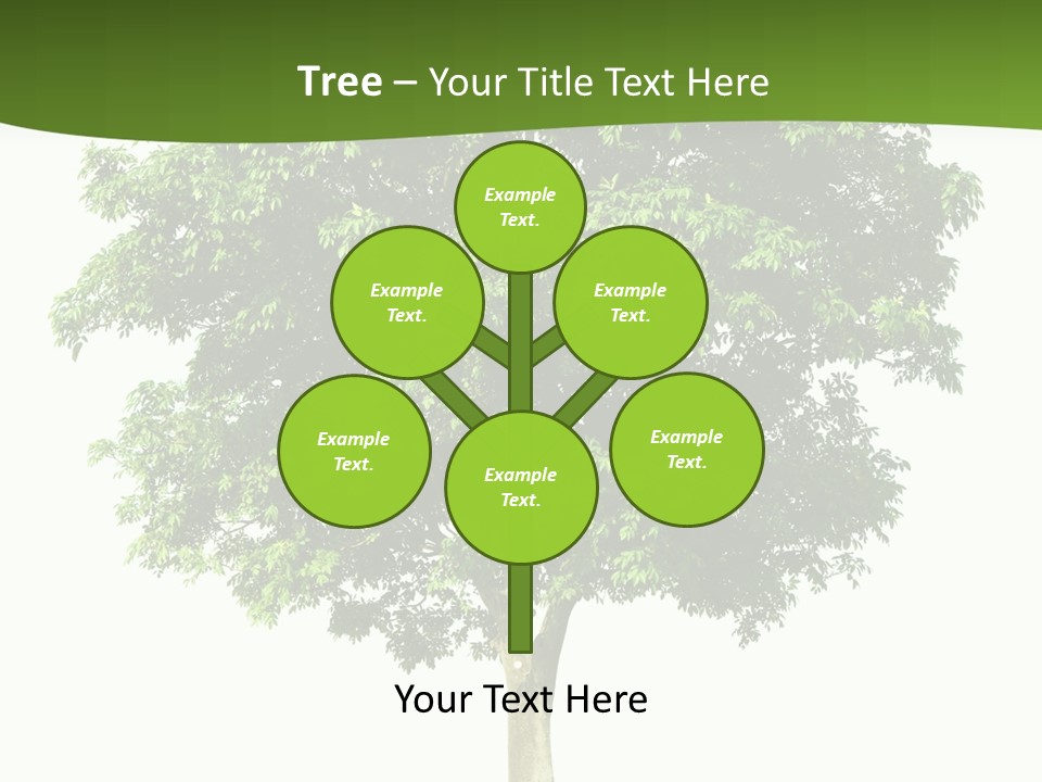 Individual Stem Environment PowerPoint Template