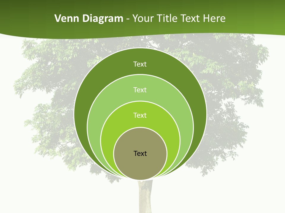 Individual Stem Environment PowerPoint Template