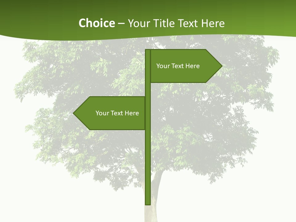 Individual Stem Environment PowerPoint Template
