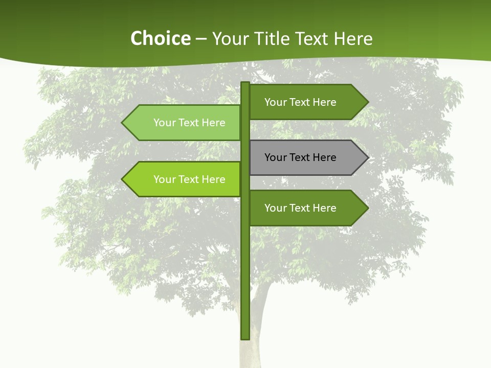 Individual Stem Environment PowerPoint Template