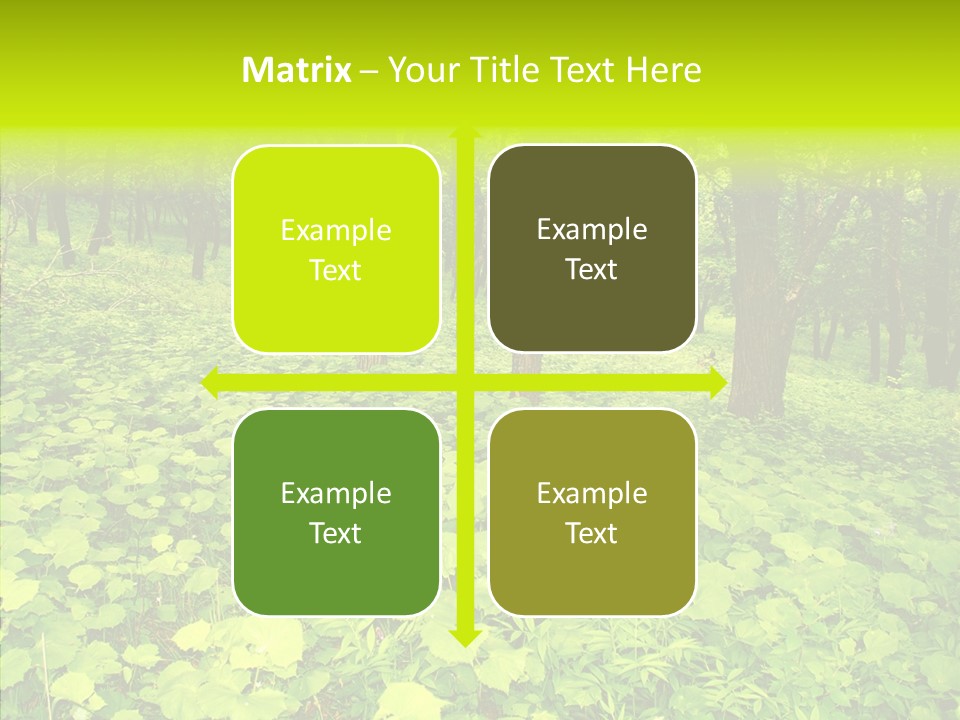 Branch Growth Shrub PowerPoint Template