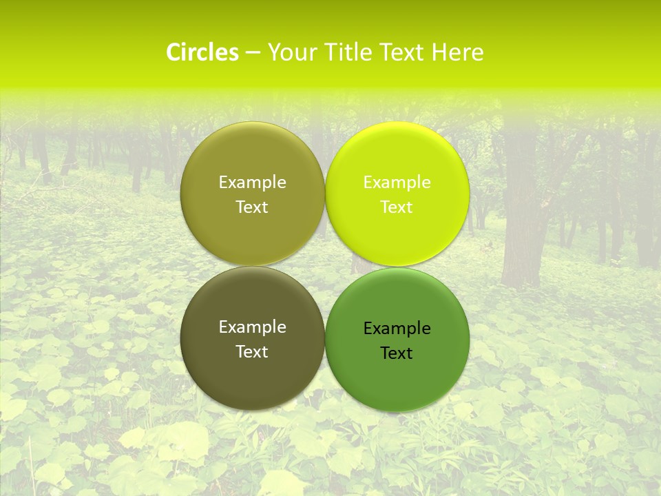 Branch Growth Shrub PowerPoint Template