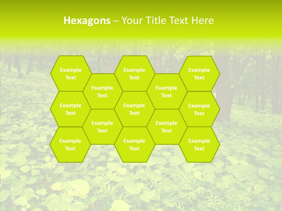 Branch Growth Shrub PowerPoint Template