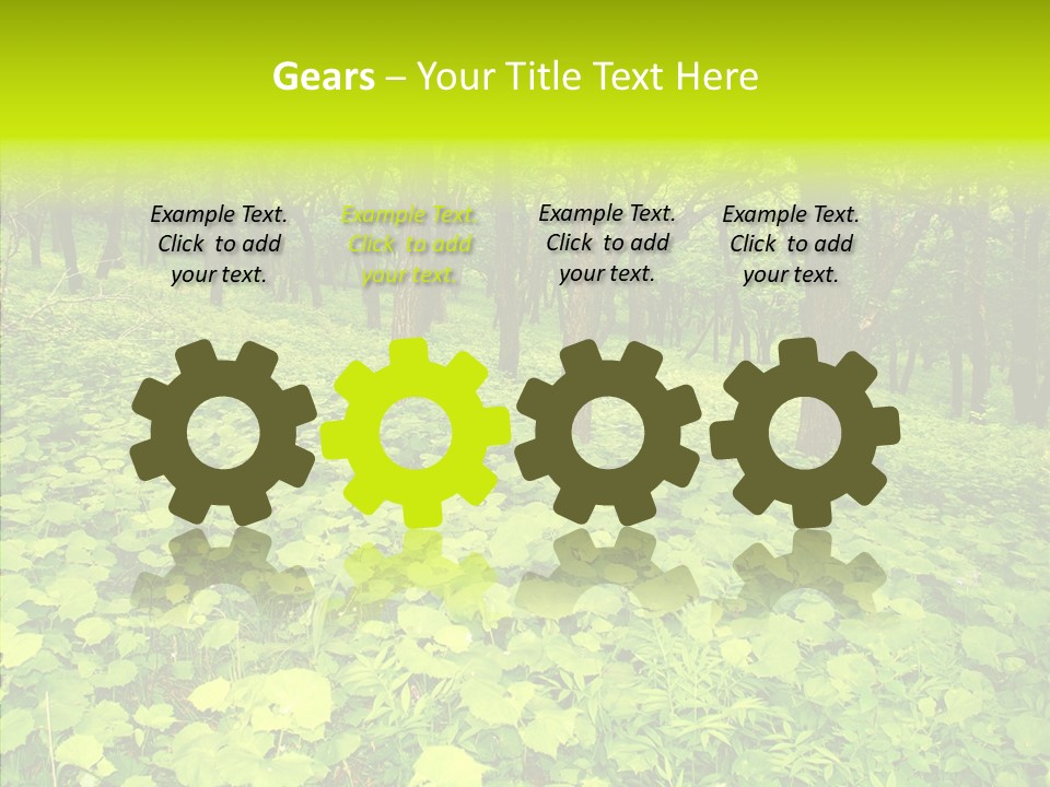 Branch Growth Shrub PowerPoint Template