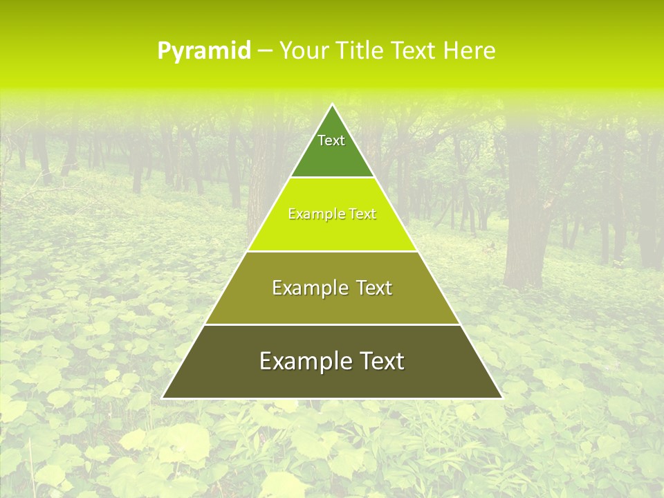 Branch Growth Shrub PowerPoint Template