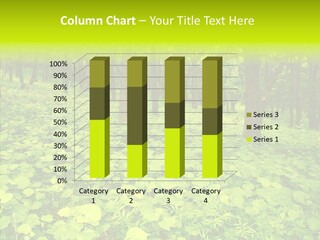 Branch Growth Shrub PowerPoint Template