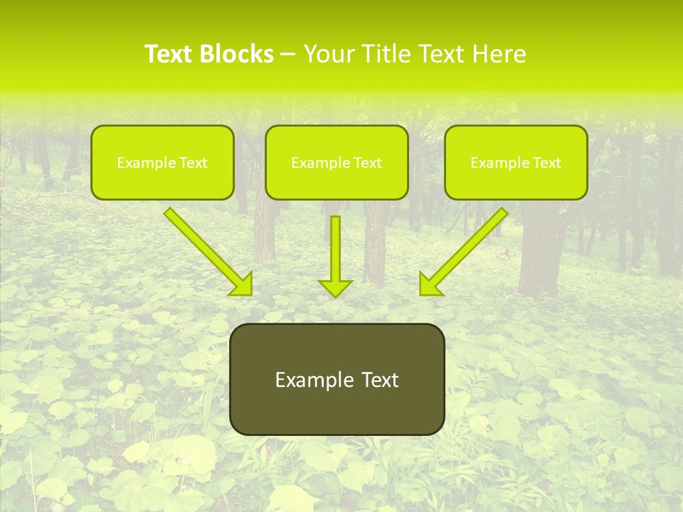 Branch Growth Shrub PowerPoint Template