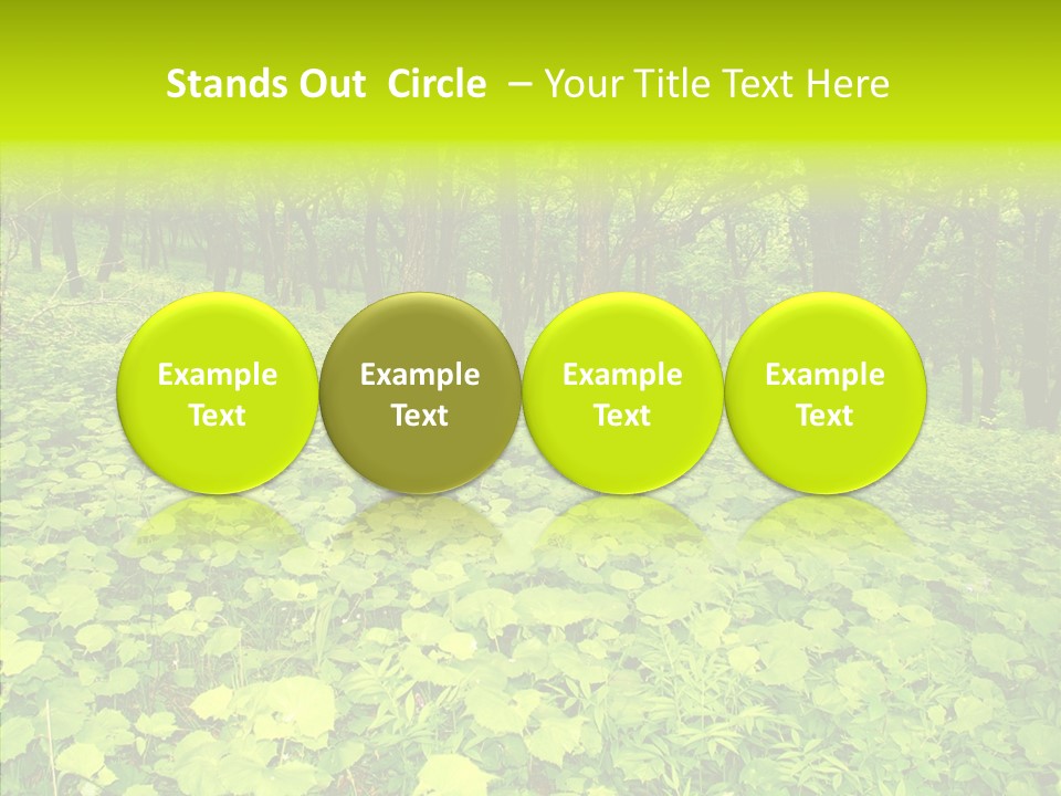 Branch Growth Shrub PowerPoint Template
