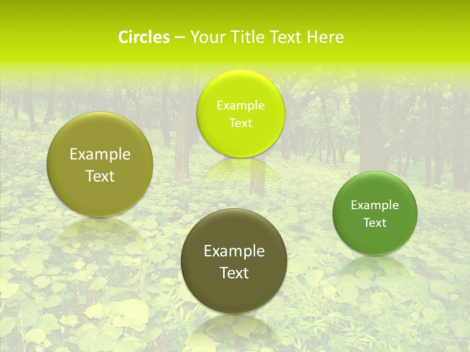 Branch Growth Shrub PowerPoint Template