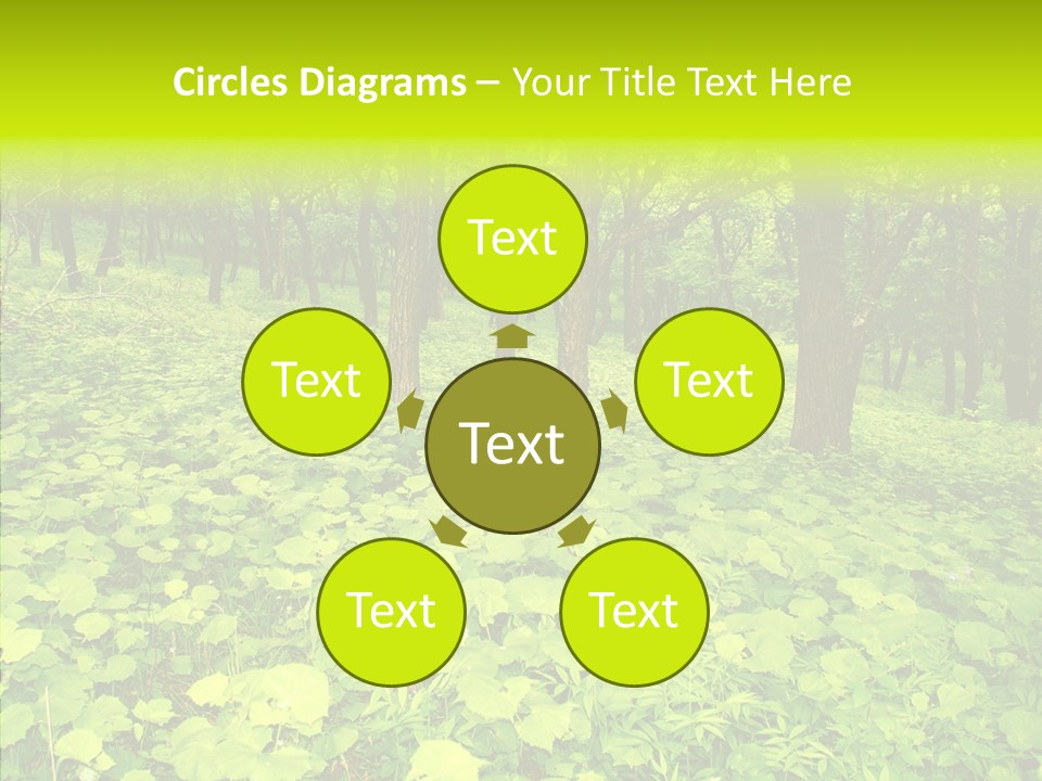 Branch Growth Shrub PowerPoint Template