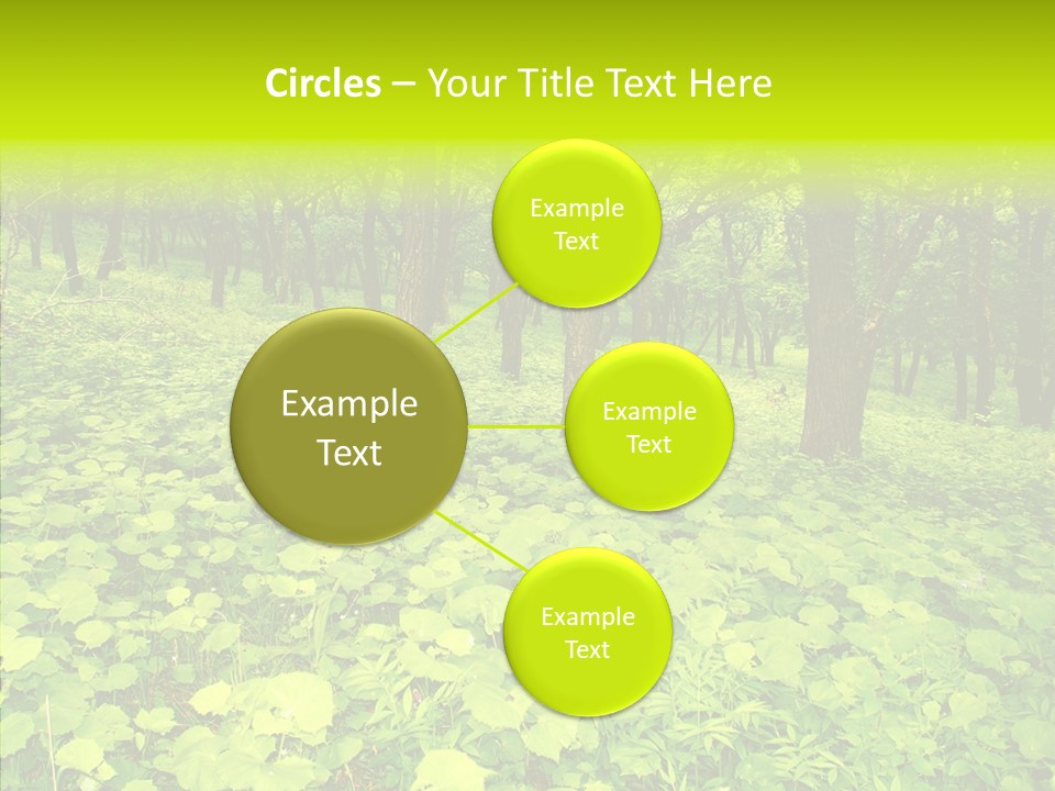 Branch Growth Shrub PowerPoint Template