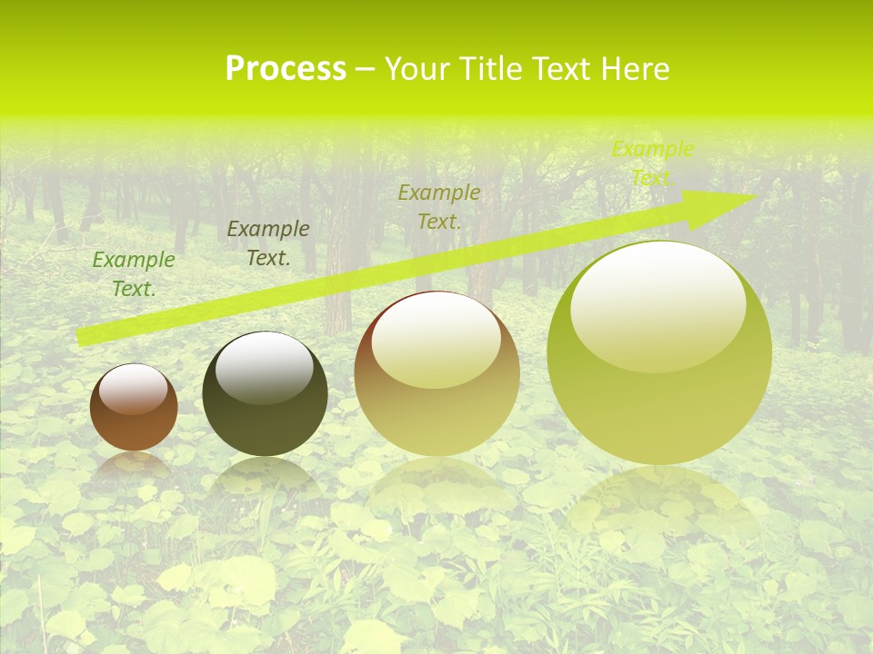 Branch Growth Shrub PowerPoint Template