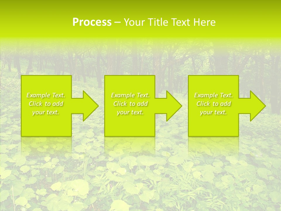 Branch Growth Shrub PowerPoint Template