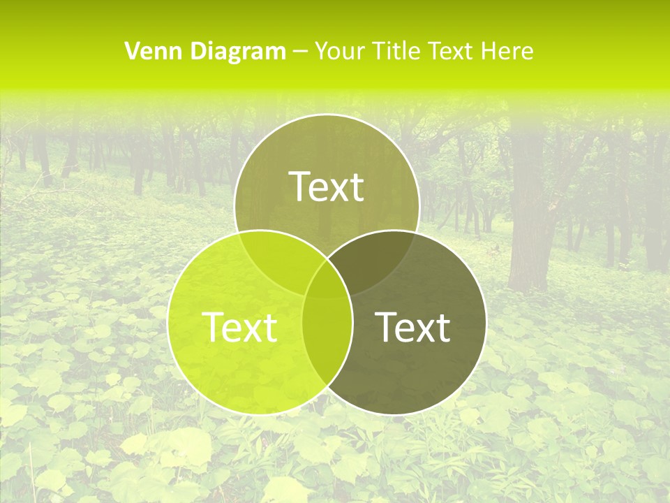 Branch Growth Shrub PowerPoint Template