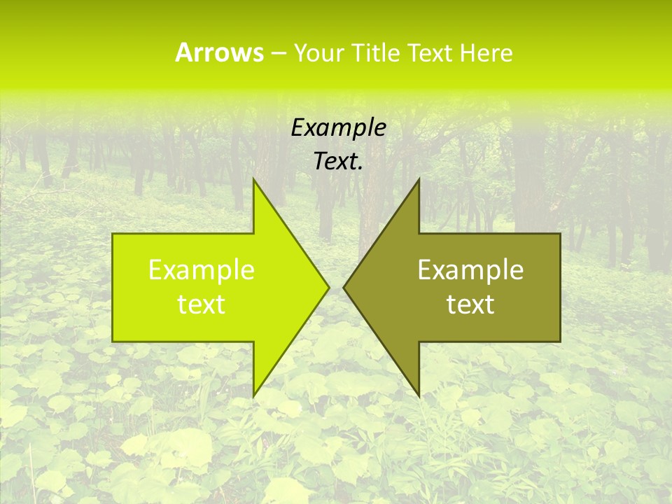 Branch Growth Shrub PowerPoint Template