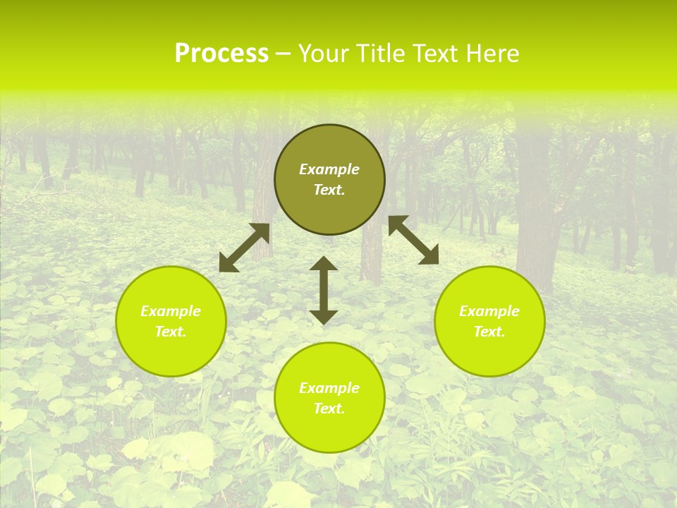 Branch Growth Shrub PowerPoint Template